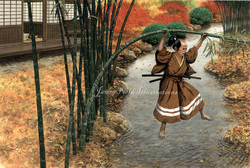 samurai ninja assassin
